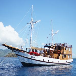 Deluxe 05